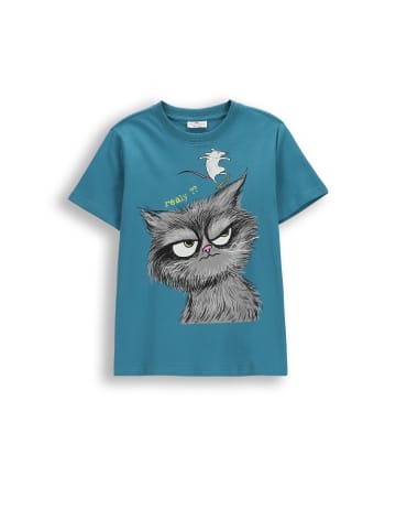 Coccodrillo Baumwoll-T-Shirt mit kurzen Ärmeln in türkis