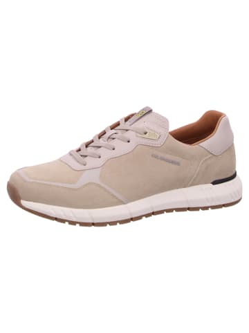 SALAMANDER Sneaker  in Beige
