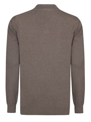 Felix Hardy Pullover in braun