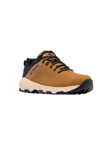 Columbia Sneakers Low Newton Nimble LTR in bunt