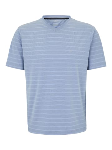 Joy Sportswear T-Shirt ALDO in blue ash stripes