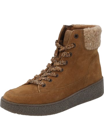 Gabor Comfort Stiefeletten in lion/camel (Micro)