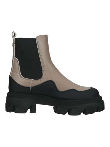 Steve Madden Stiefelette Beige/Schwarz