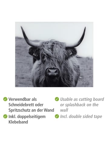 Wenko Glasrückwand Highland Cattle 60 x 50 cm