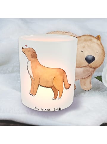 Mr. & Mrs. Panda Glas Teelichthalter Nova Scotia Duck Moment ohn... in Transparent