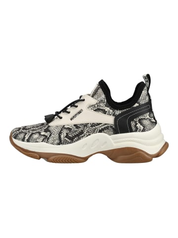 Steve Madden Sneaker in Schwarz/Weiß