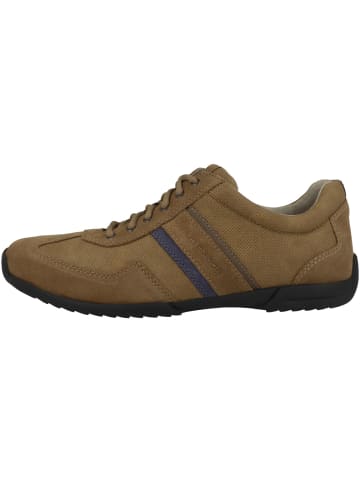 Pius Gabor Sneaker low 1137.10 in bordeaux