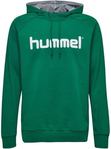 Hummel Hummel Kapuzenpullover Hmlgo Herren in EVERGREEN