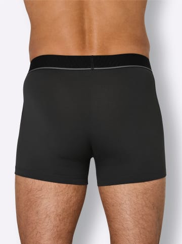 adidas Pants in schwarz + grau + anthrazit