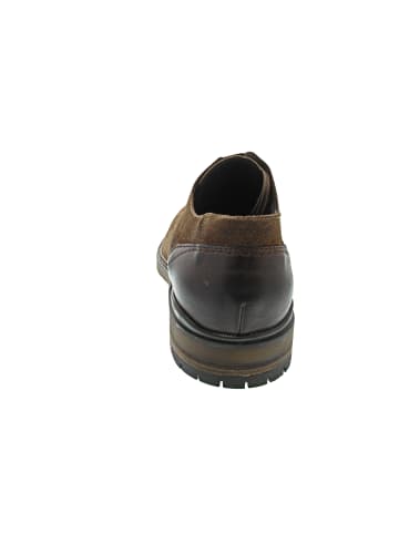 LLOYD HADRIAN Business Schuh Braun