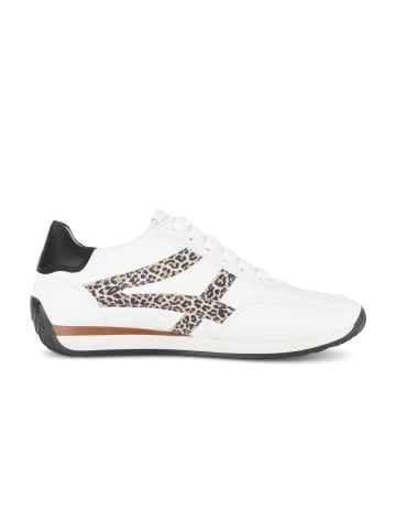Gabor Sneaker low in multicolour
