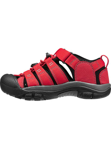 Keen NEWPORT H2 in Rot