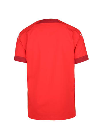 Puma Fußballtrikot teamFinal in rot