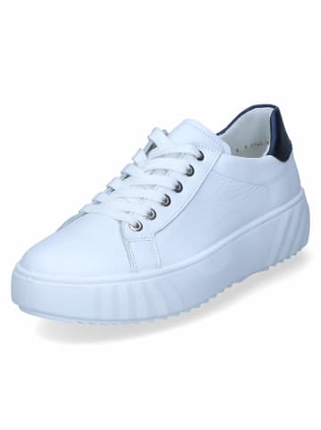 Ara Shoes Low Sneaker in Weiß