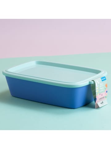 koziol NORA BOX 1,4l - Schale 1,4l mit Deckel in strong blue/sweet green