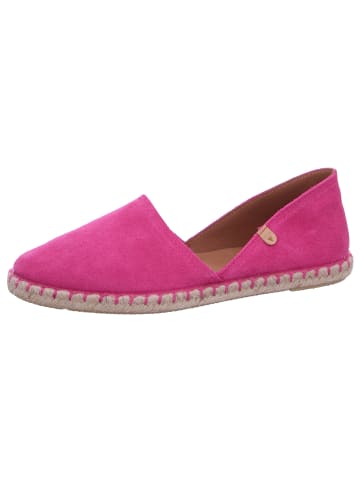 Verbenas Slipper Carmen in Rosa