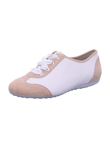 Semler Schnürschuhe in Beige