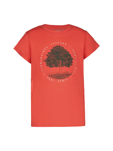 Icepeak T-Shirt in Coralle