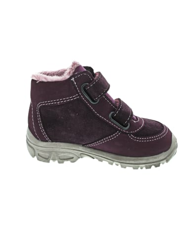 Ricosta LENZI Lauflern Violett