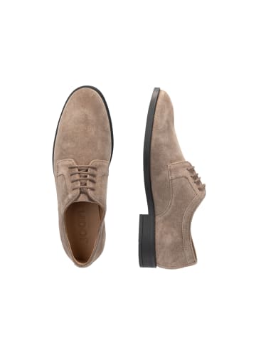 JOOP! Lace Up 'Velluto Casper in Fungi'