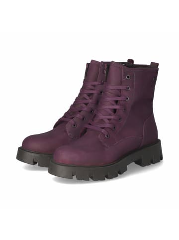 Däumling Winterstiefeletten in Violett