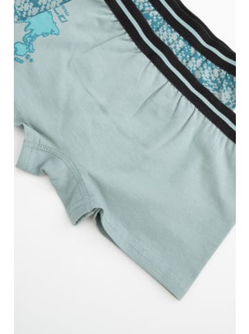 Coccodrillo Slip für Jungen in grün