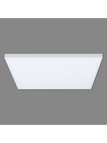 näve LED Panel-Deckenleuchte "Carente" (L) 45 cm - rahmenlos in Weiß
