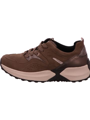 Gabor Schnürschuh in braun