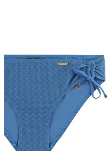 Protest " MIXGrows in Gladio Blue