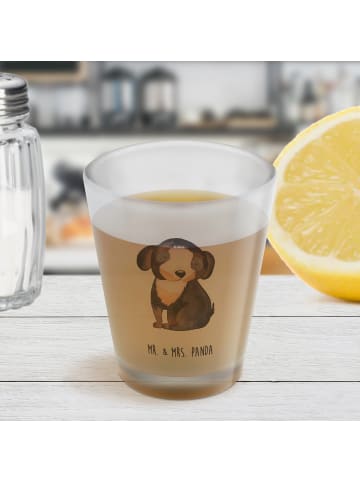 Mr. & Mrs. Panda Schnapsglas Hund Entspannen ohne Spruch in Transparent