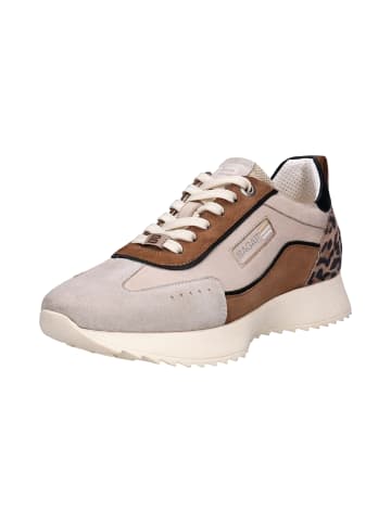 TT. BAGATT Sneaker in beige