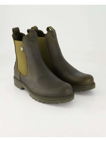 PANAMA JACK Chelsea Boots in Grün
