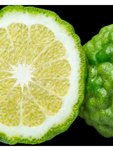 Yodeyma Eau de Parfum For You 50 ml