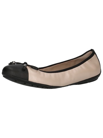 Caprice Ballerina in BEIGE COMB