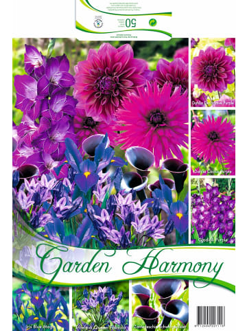 MeinVIPShop 50 x Blauer Garten Blumenzwiebel Mischung