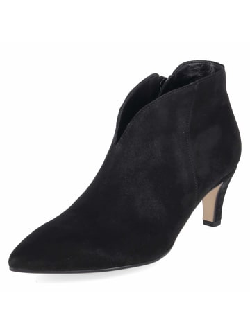 Gabor Ankle Boots in schwarz