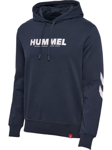 Hummel Hoodie in Blau