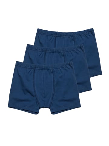 Haasis Bodywear 3er-Set: Pants in dark blue
