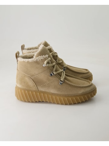Paul Green Schnürstiefeletten in Beige