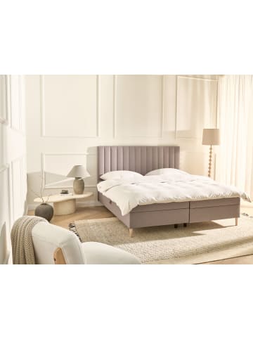 Beliani Boxspring Bett OFFICER in Beige/Braun - (W) 185 x (H) 123 x (L) 211 cm