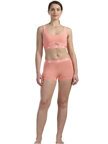 adidas Shorts Sport Active Comfort Cotton in Rosa