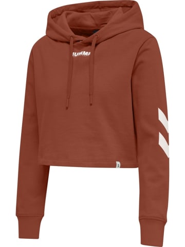 Hummel Hoodie in Rot