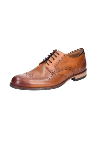 Clarks Elegante Schnürschuhe in Braun