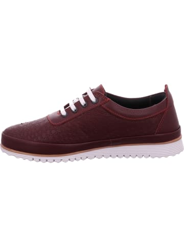 Diverse  Sneaker in bordeaux
