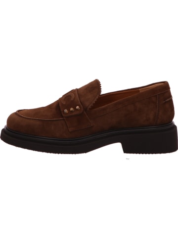 Donna Carolina Slipper in braun