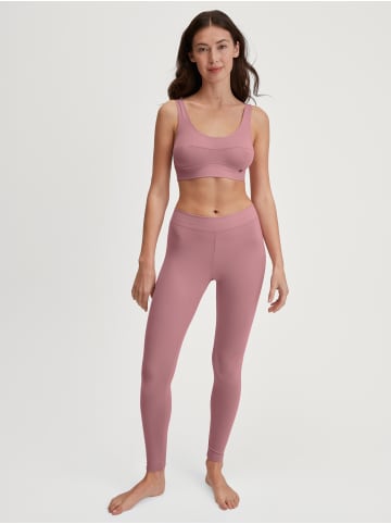 Calida Leggings in lilas