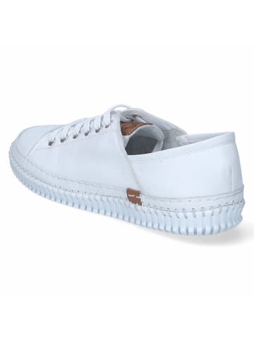 Andrea Conti Schnürhalbschuh in weiss