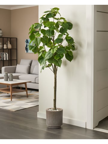 Beliani Kunstpflanze FICUS TREE in Grün/Schwarz - (W) 70 x (H) 160 x (L) 70 cm