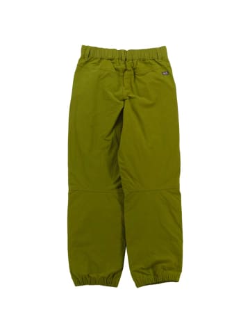 Jack Wolfskin Hose Mosquito Proof Pants in Grün