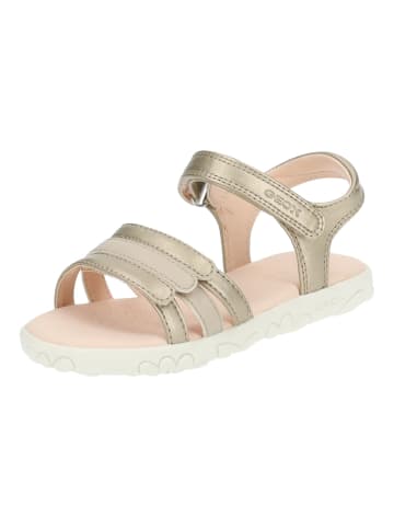 Geox Sandalen in Platinum